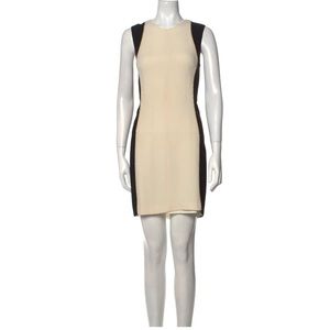 Rag and Bone crew neck mini dress